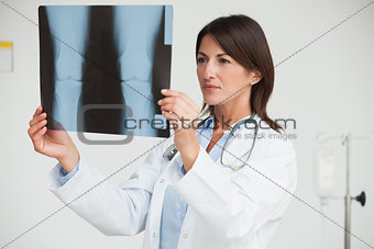 Doctor analysing x-ray