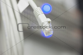 Close-up of a wire of server