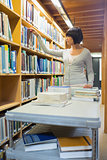 Librarian looking through book shelf