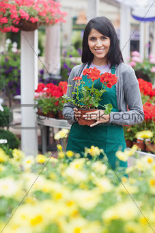 Garden center worker holding a red flower