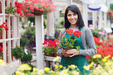 Garden center worker holding red flower while standing outside