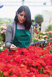 Woman holding a tablet while checking flowers