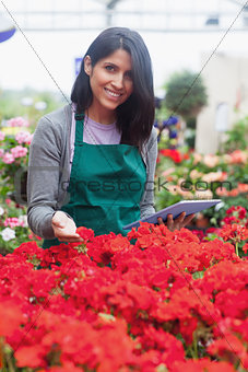 Garden center worker looking at flowers using tablet