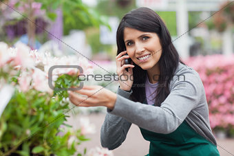 Florist touching a flower while calling