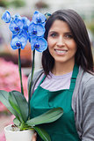 Brunette woman holding a blue flower working in garden center