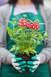Woman holding plant out of its pot