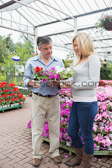 Couple choosing plants