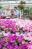 Couple choosing pink flowers