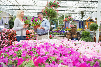 Couple choosing flowers in the garden centre