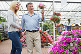 Couple looking at potted flower