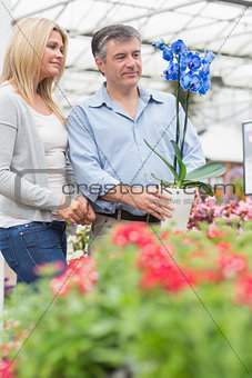 Couple looking at the blue flower