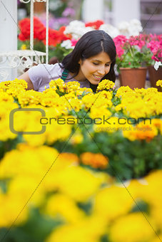 Woman smelling yellow flowers