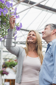 Couple looking at flowers in hanging basket