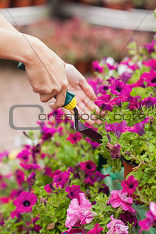 Gardener spading flowers