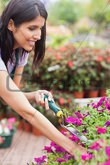 Worker tending to plants