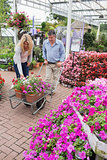 Couple putting flowers in trolley