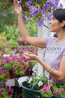 Woman collecting flowers in garden center