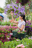 Woman shopping for flowers in garden center