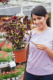 Woman looking for the price of plant