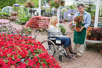Woman in wheelchair buying a plant