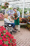 Woman in wheelchair looking at the plant