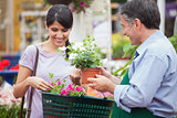 Woman buying plants