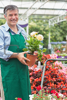 Gardener holding a plant