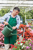 Gardener watering plants
