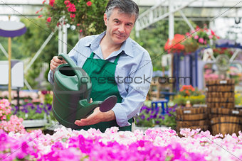 Florist watering flowers