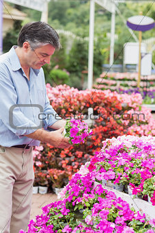 Man taking a flower