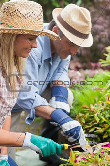 Couple gardening together