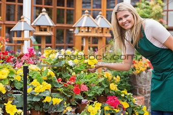 Garden center worker holding yellow flower