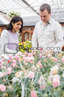 Couple choosing flowers