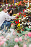 Couple looking through flowers