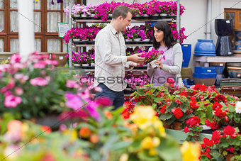 Couple discussing purple flowers