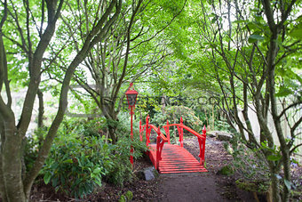 Red Japanese style bridge in forest