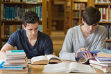 Men studying in library