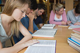 Students studying as a group