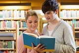 Couple standing looking at a book