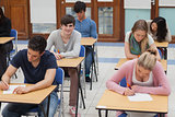 Students sitting in exam room