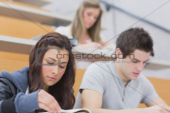 Students sitting at the lecture hall learning