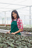 Woman standing beside row of seedlings