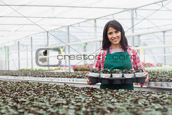 Woman carrying a box of plants