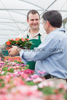 Employee giving a box of flowers to man