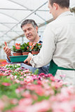 Employee holding a box of flowers as customer is looking at them