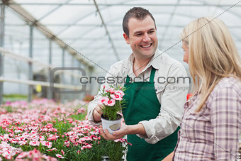 Woman deciding on flower with employee