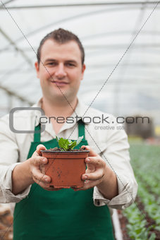 Cheerful gardener holding a plant