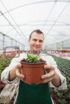 Employee holding up potted plant