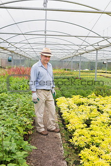 Smiling man standing in greenhouse