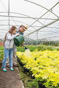 Little girl watering plants with grandfather